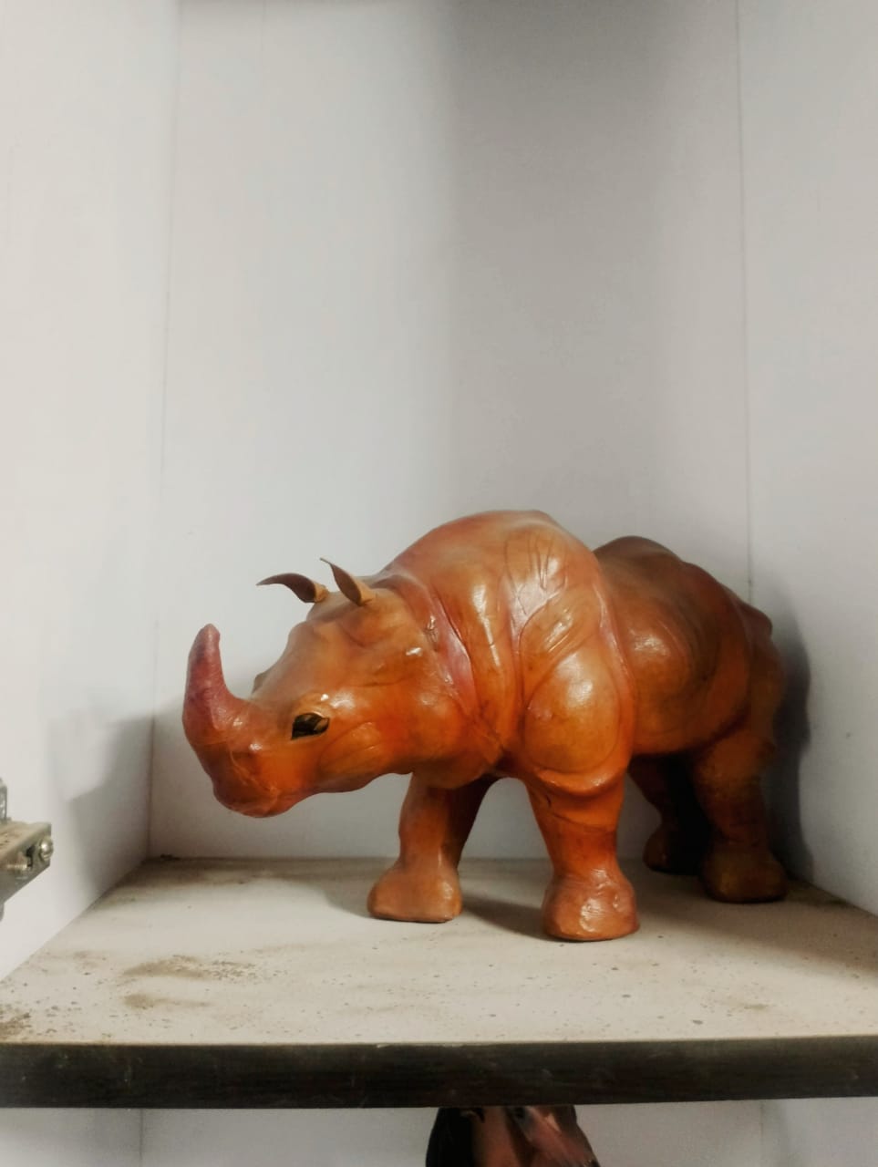 Rhinoceros 