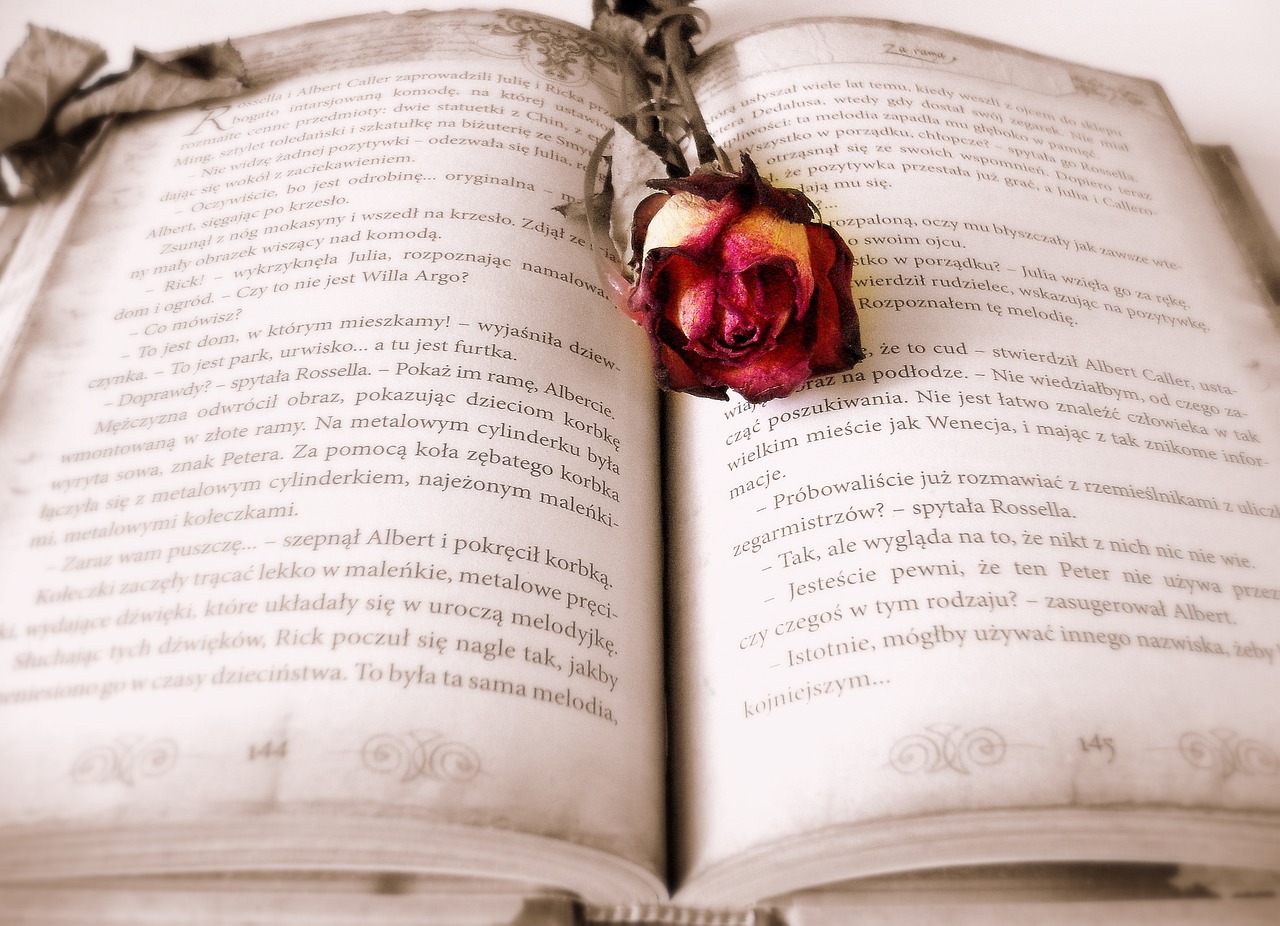 book, rose, book mark, open book, pages, chapter, rose flower, novel, read, literature, reading, bookworm, book, book, book, book, book, rose, rose, reading