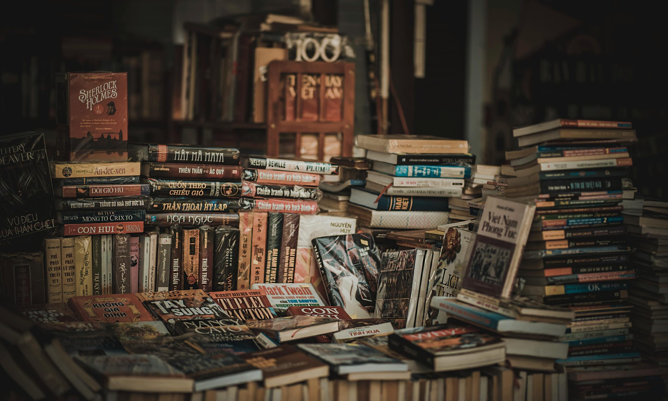 A cozy indoor bookstore with stacked bookshelves filled with novels and literature.